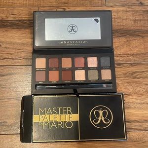 Anastasia Master Pro Palette by Mario